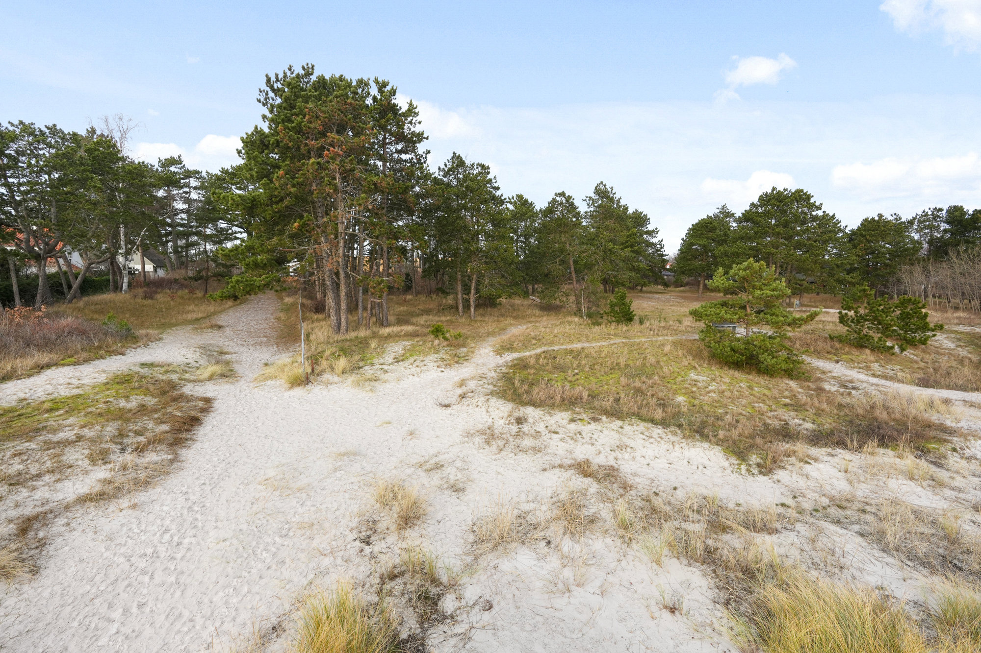 Andet