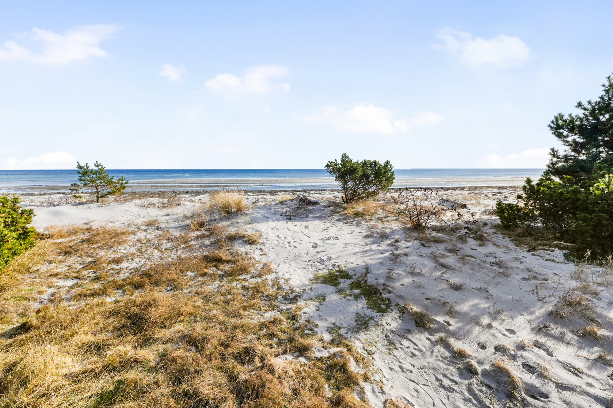 Greve Strandvej 139, 2670 Greve - Billed