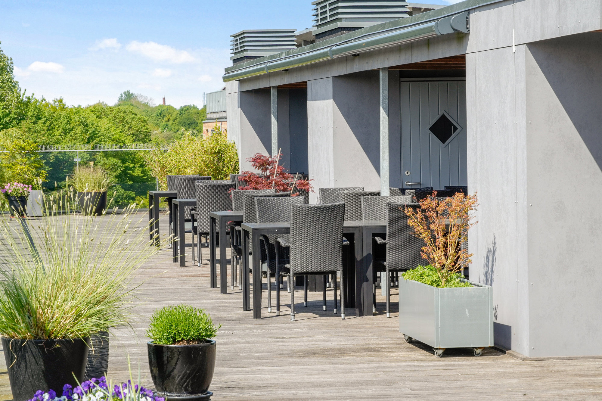 Terrasse