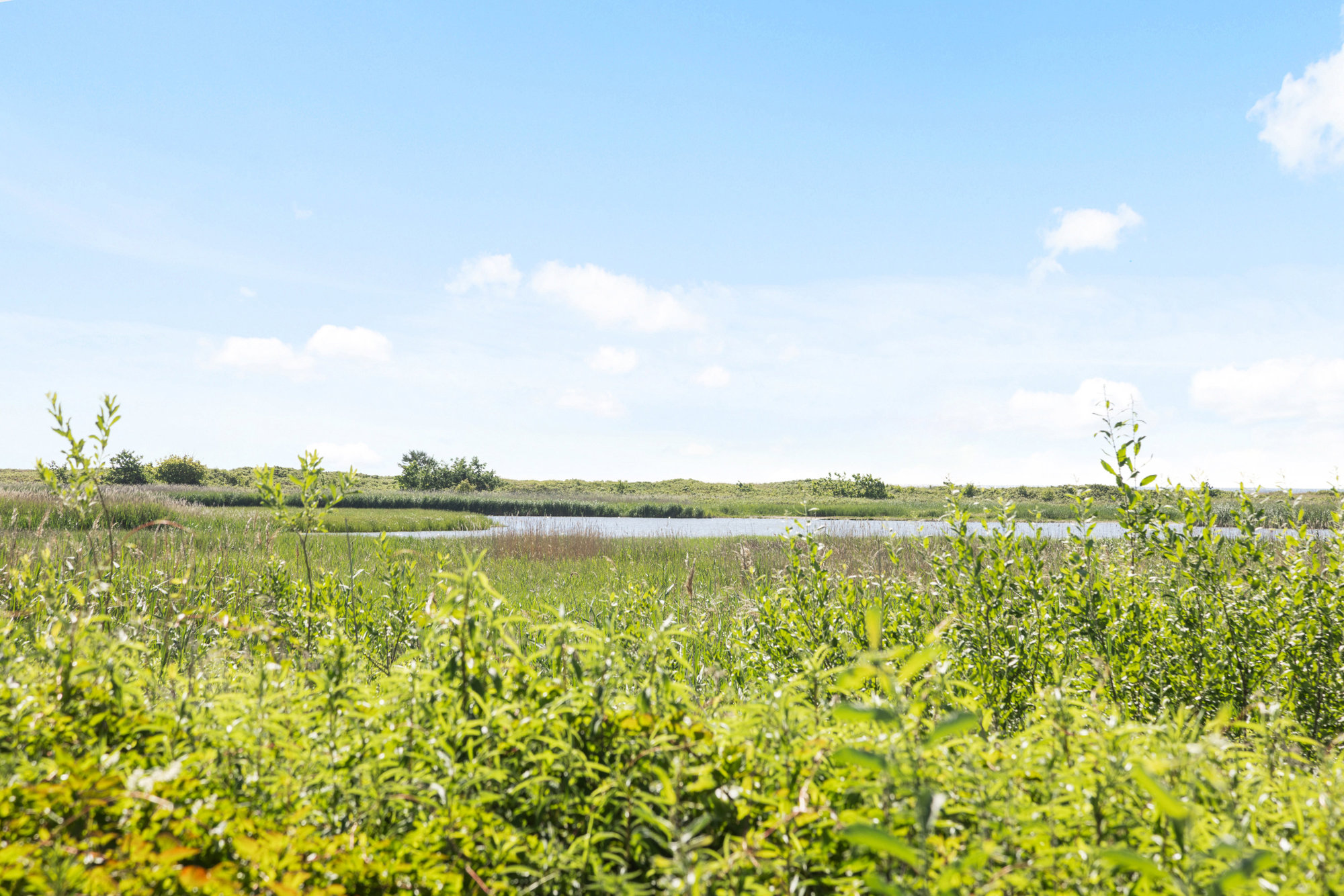 Nemovej 4, 2680 Solrød Strand - Billed